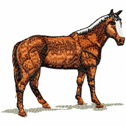 Horses Embroidery Design 4